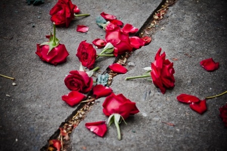 scattered roses as a metaphor for a troubled relationship